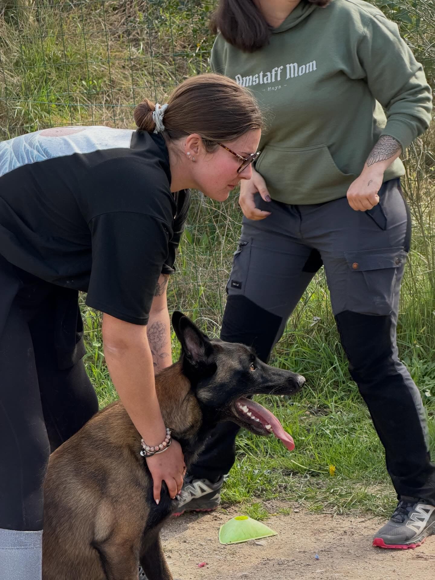 Séance d'éducation avec un malinois en extérieur