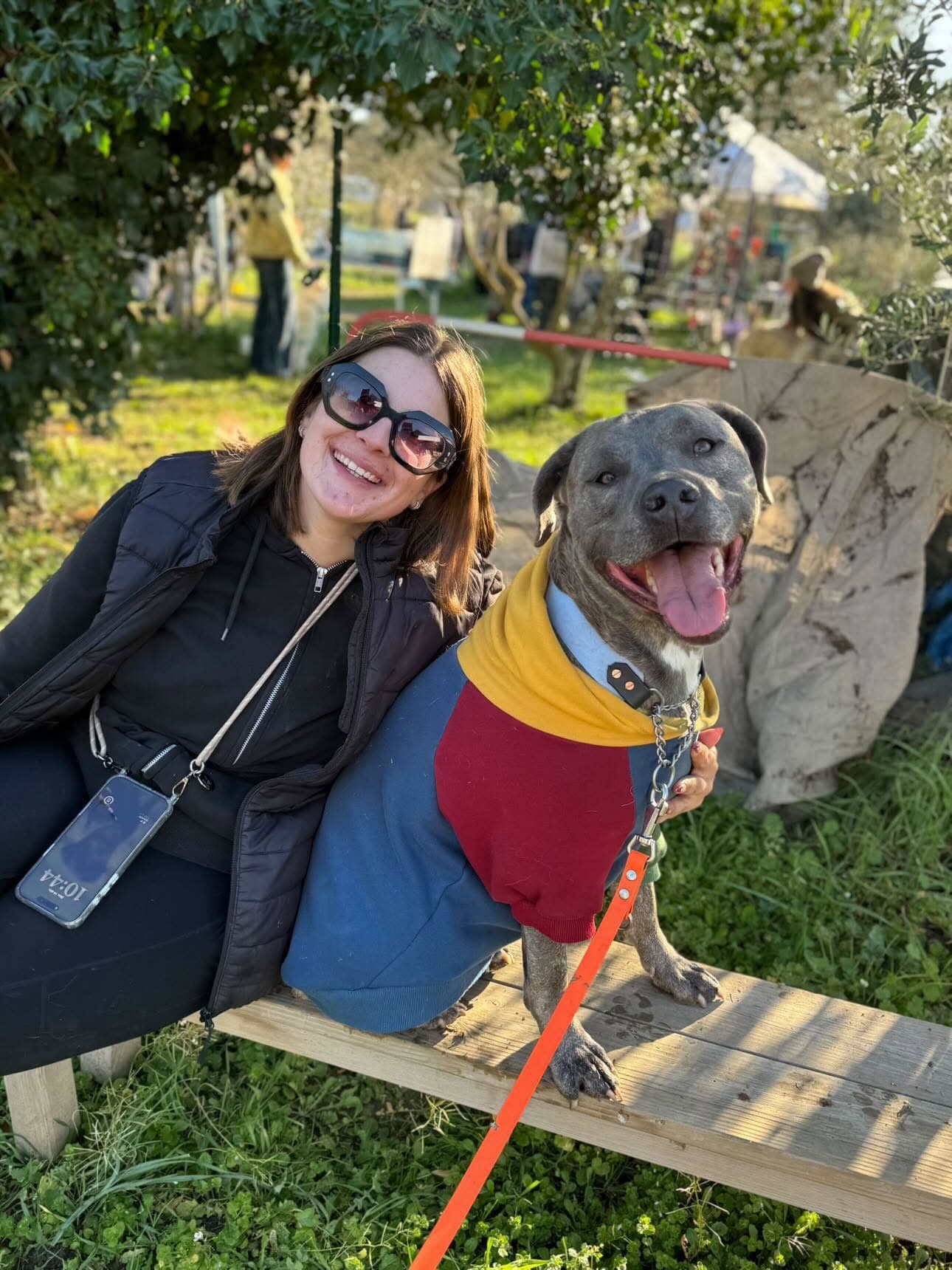 Staffie bleu avec son manteau lors d'un événement canin